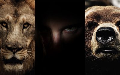 Facing a Lion, a Bear, and a Goliath