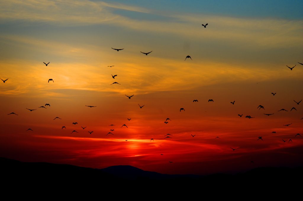 Sunrise